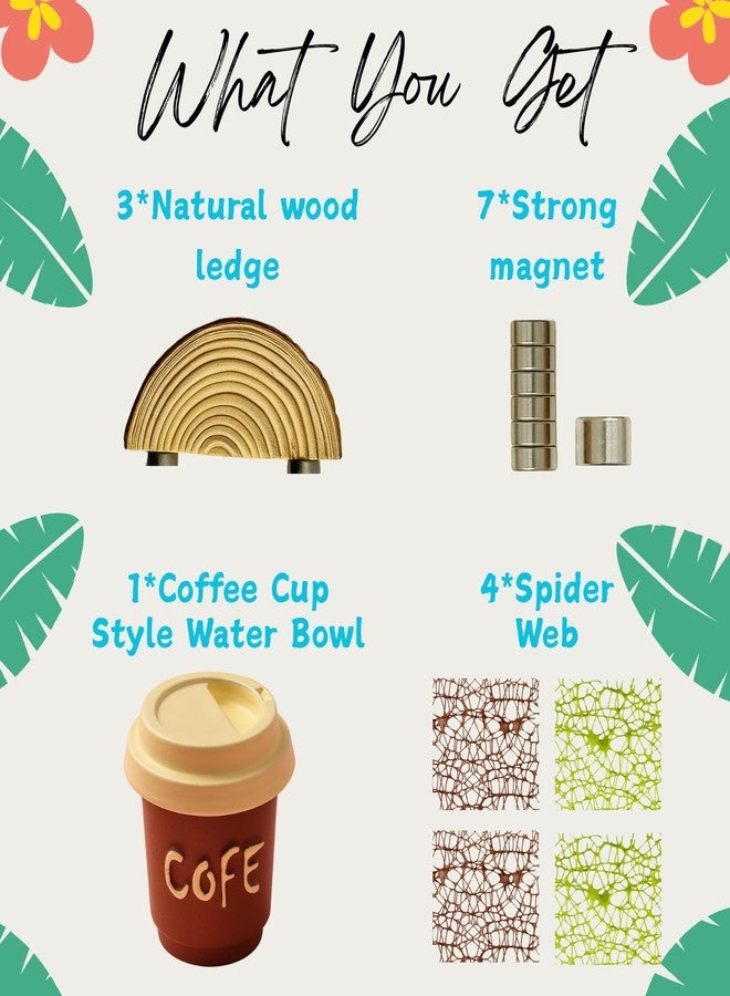 ZREVSB Jumping Spider Enclosure Accessories Kit, Habitat Decor - Wood Ledge, Water Dish & Climbing Web (with Brown Water Dish) - Image 4